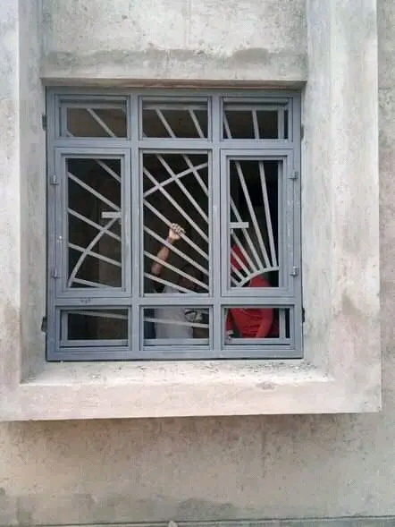 Steel car shade